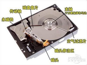 綠色未來，共贏商機——首能環保材料產品解析與加盟優勢